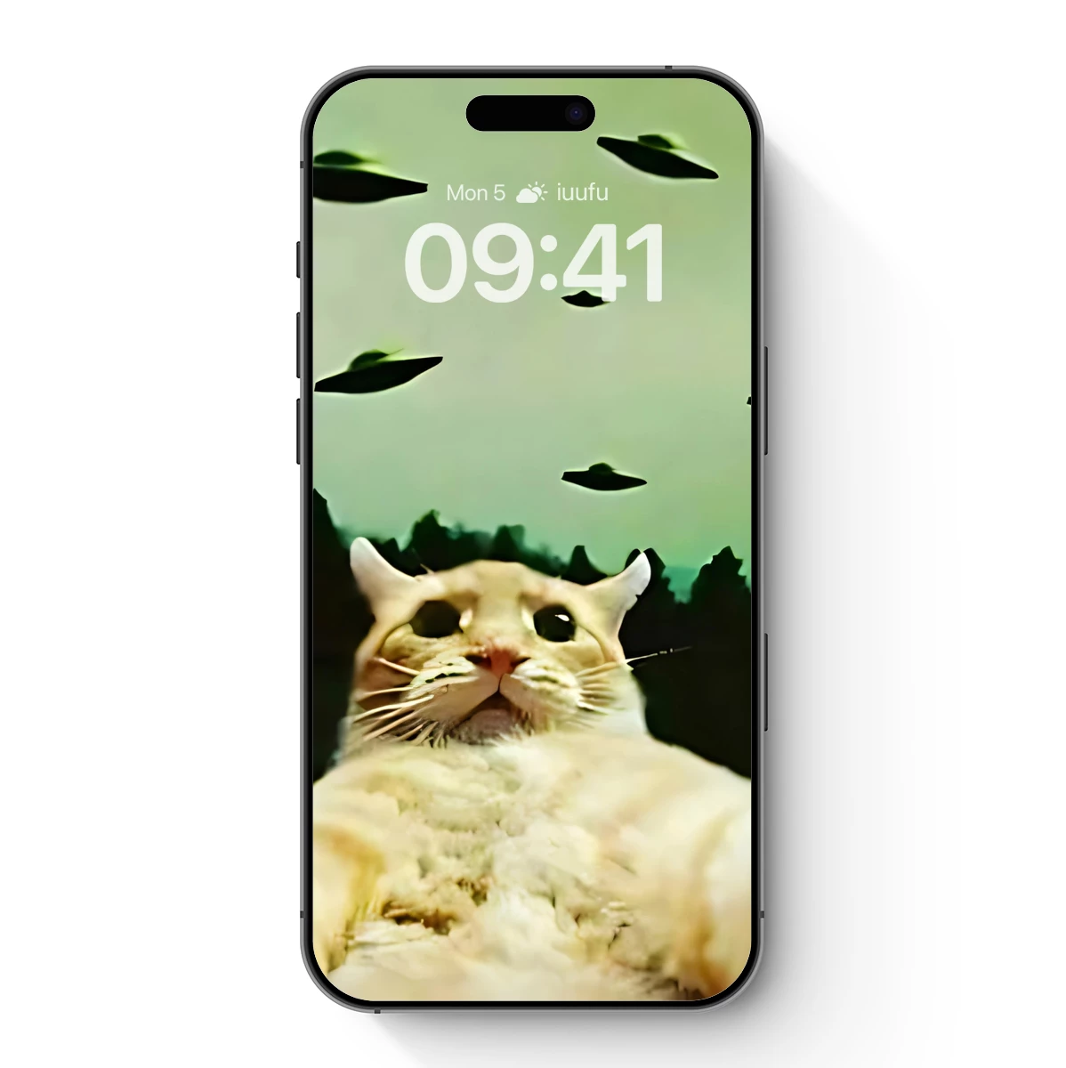 Cosmic Cat: A Whiskered Witness to UFOs