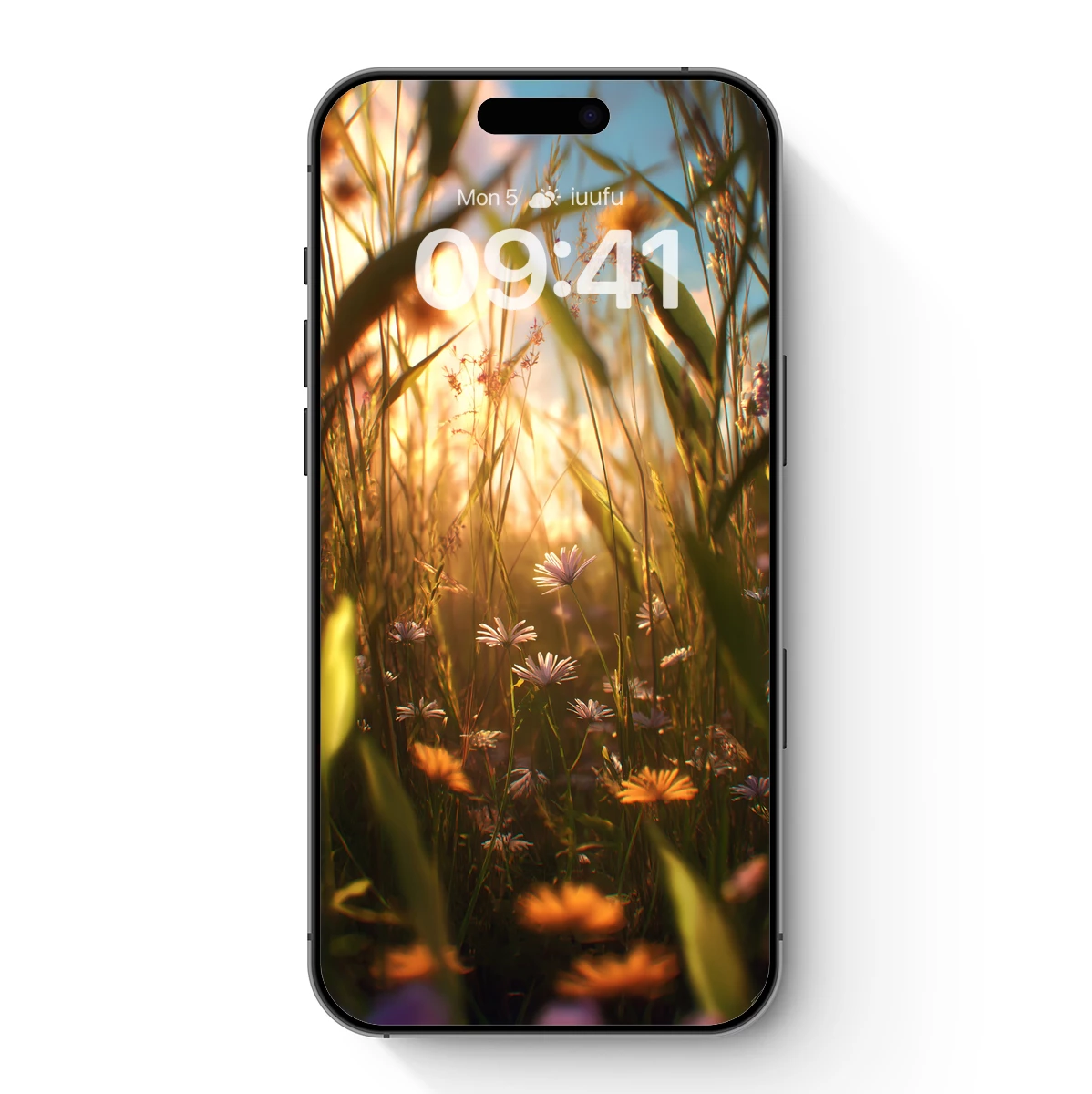 Golden Hour Meadow: Sunlit Wildflowers