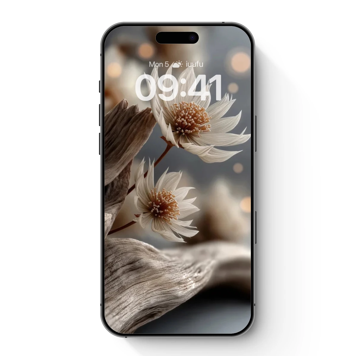 Driftwood Daisies: Ethereal Floral Still Life