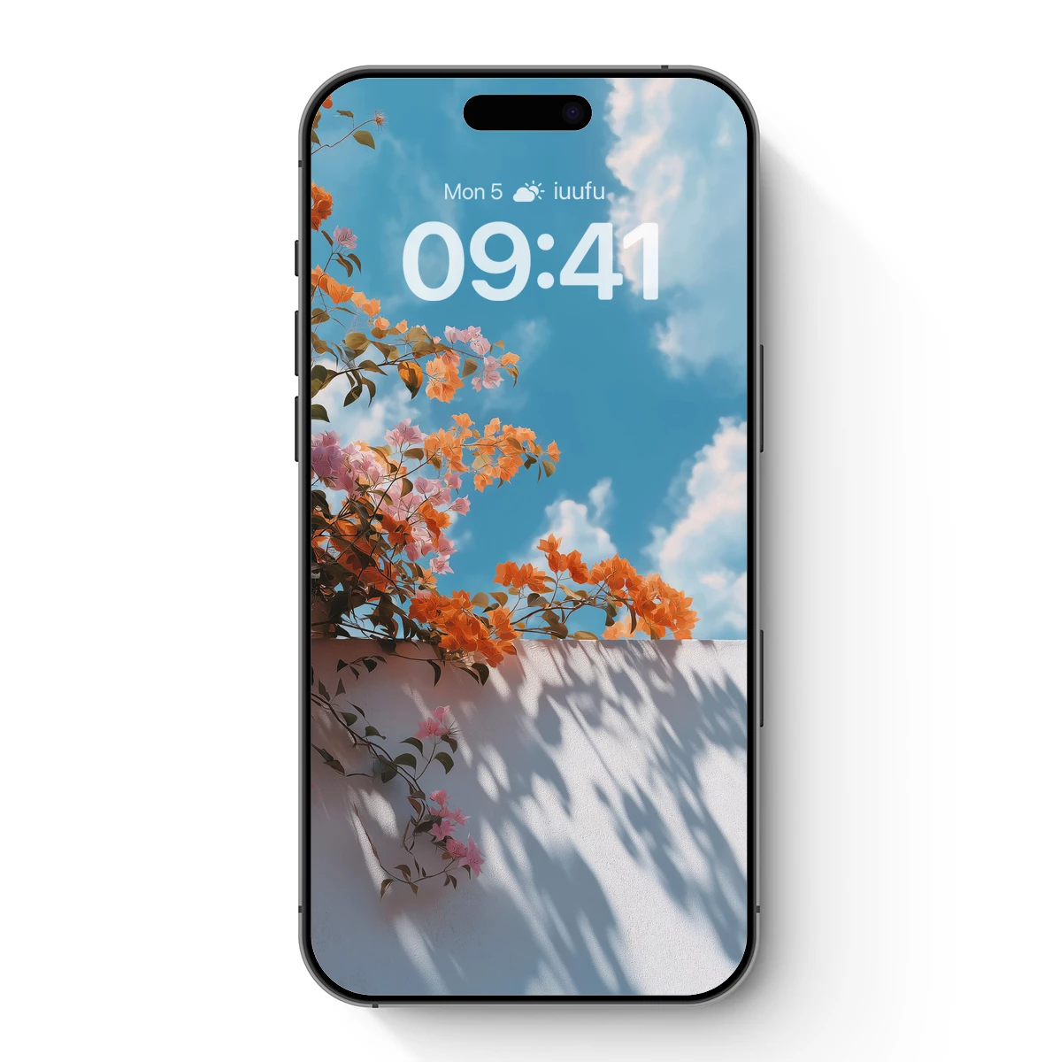 Bougainvillea Sky Symphony Bougainvillea Sky Symphony