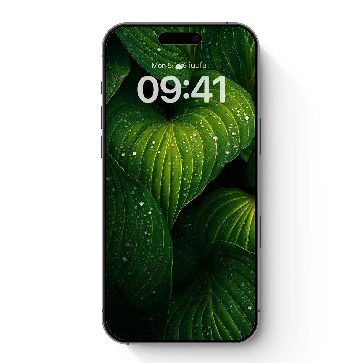 Dew-Drenched Leaves: Nature's Velvety Embrace