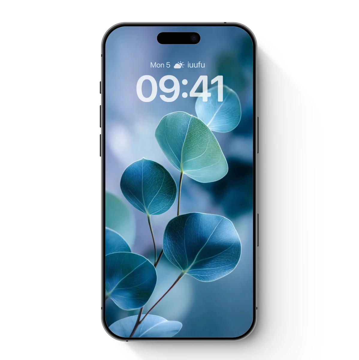 Eucalyptus Serenity: Blue-Green Leaves in Soft Focus