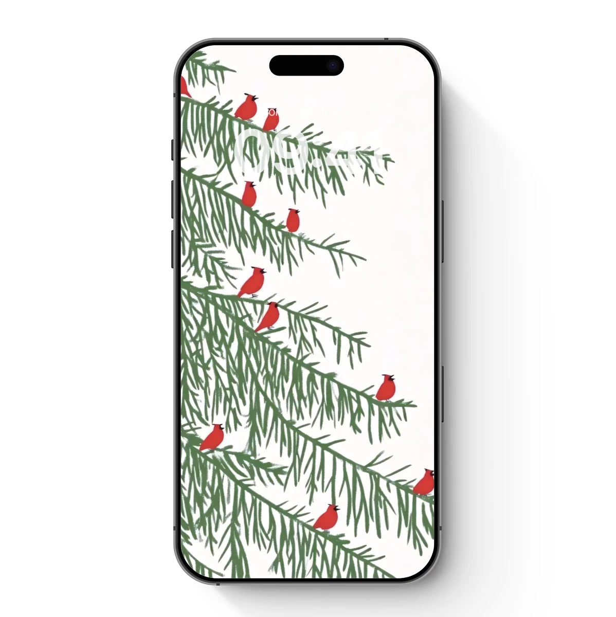 Cardinals Perched: Winter's Festive Pine Branches