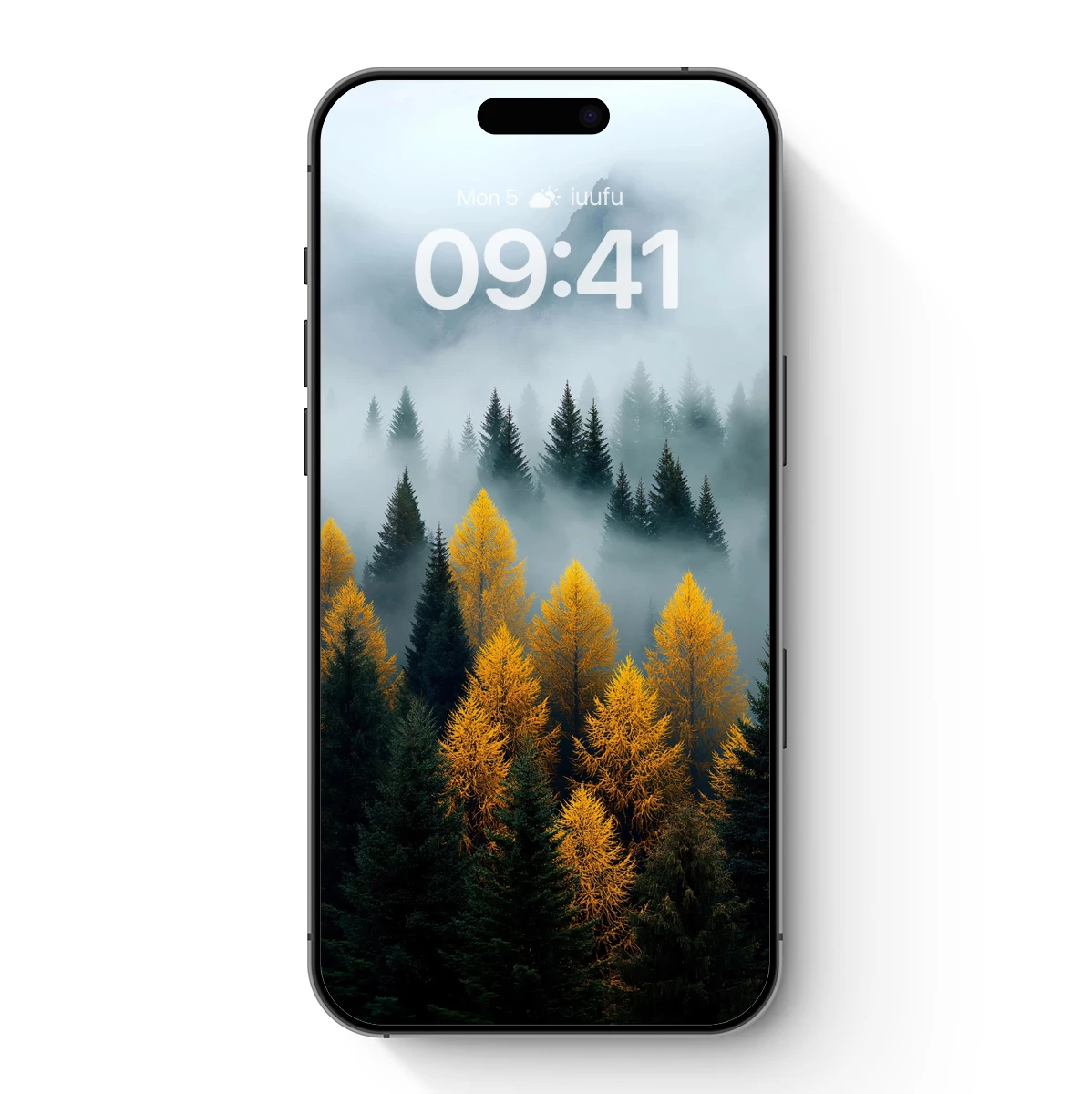 Golden Larches in Misty Mountain Haze