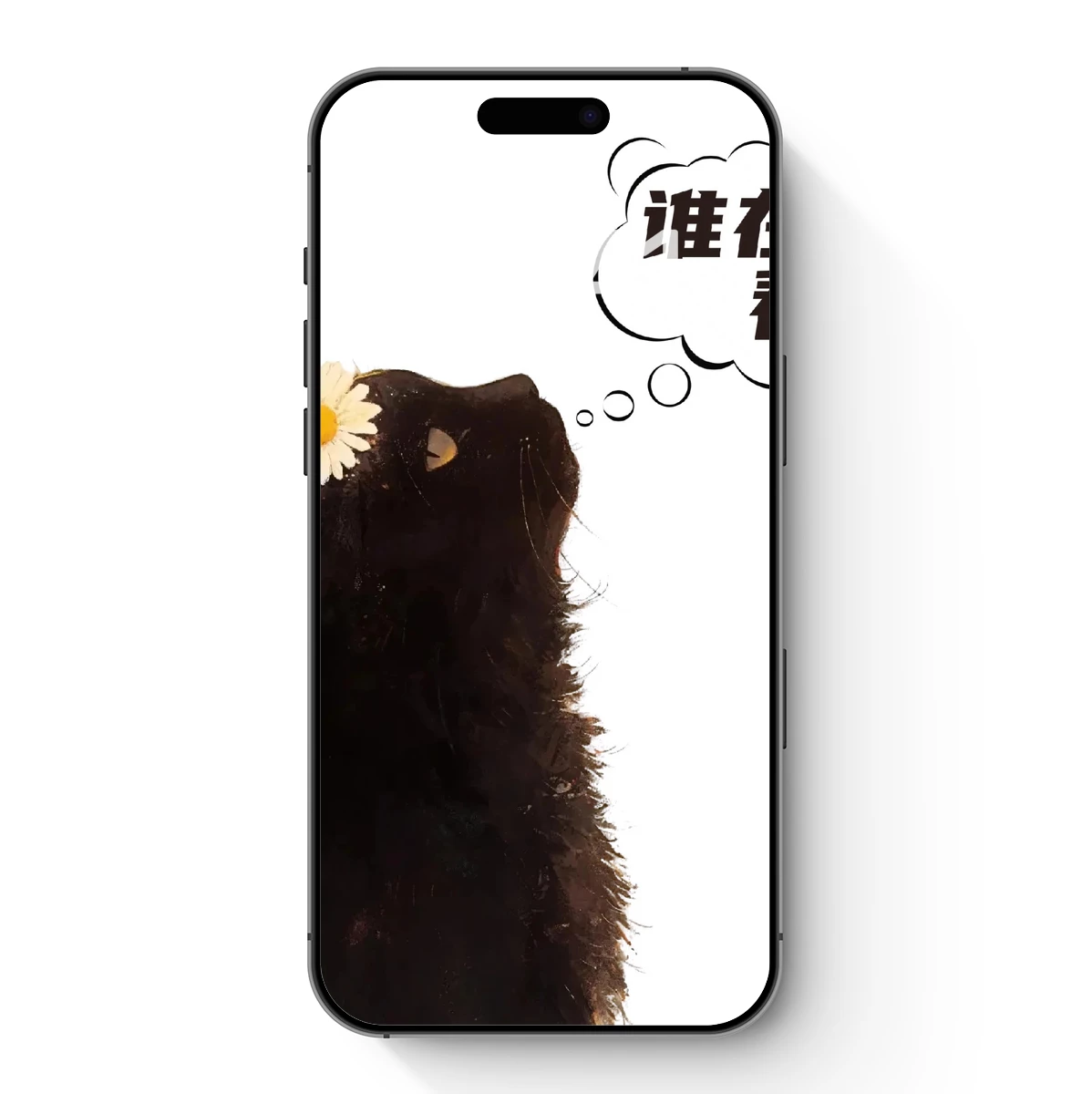 Black Cat with Daisy: Who's Watching Me?