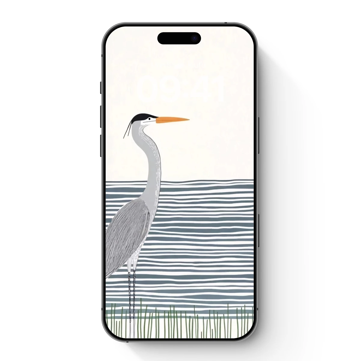 Elegant Heron by the Striped Shore