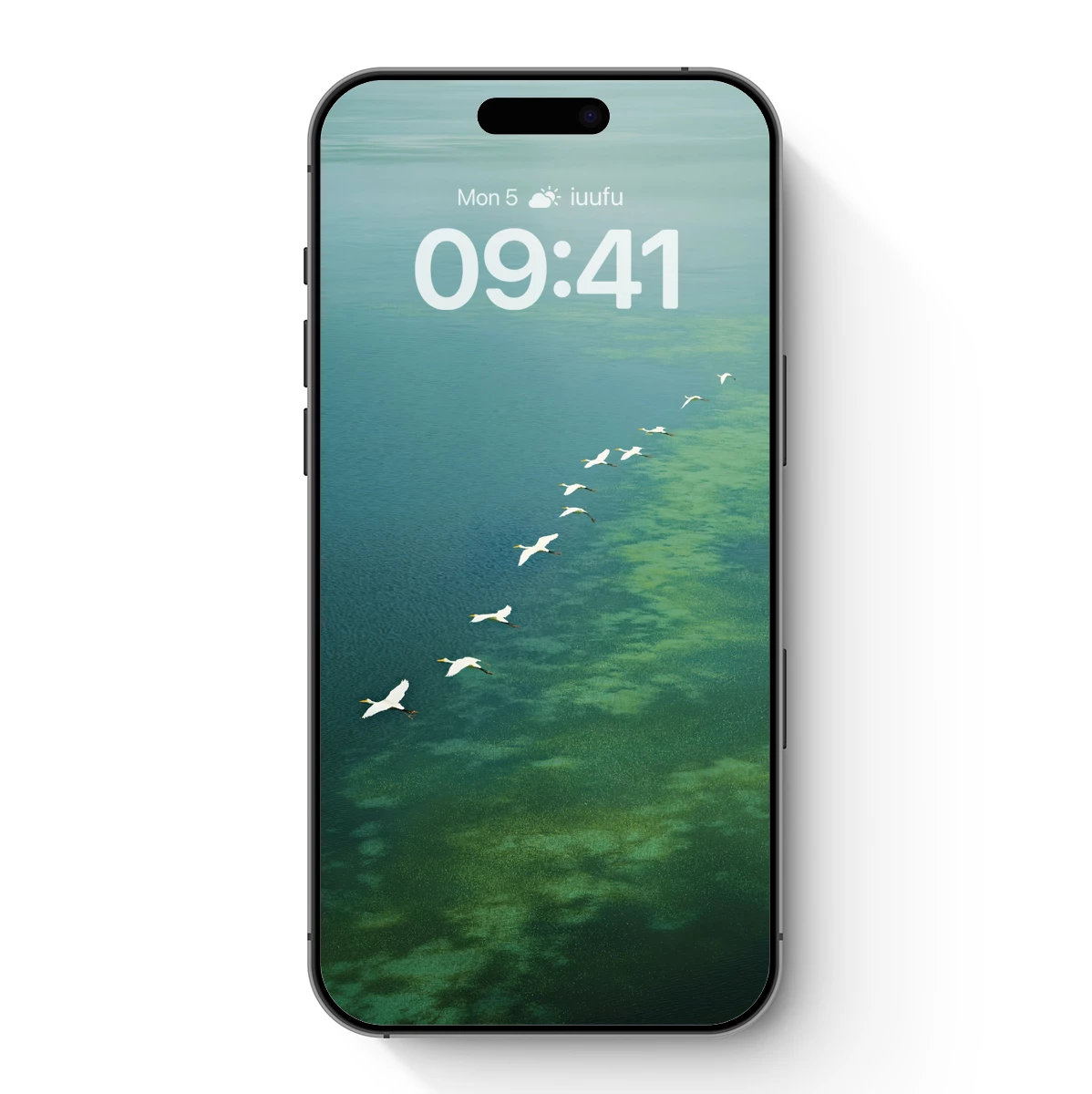 Elegant Flight Over Emerald Waters Elegant Flight Over Emerald Waters