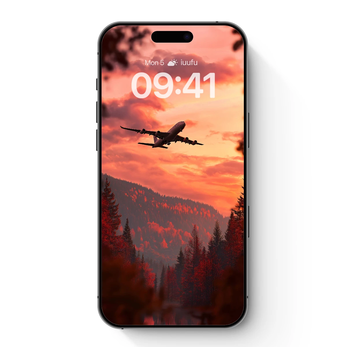 Airplane Silhouette at Sunset Over Autumn Forest