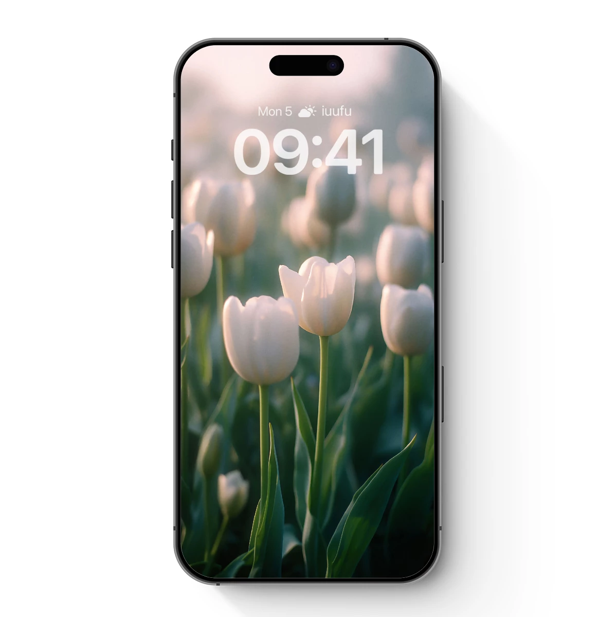 Ethereal White Tulips in Soft Dawn Light Ethereal White Tulips in Soft Dawn Light