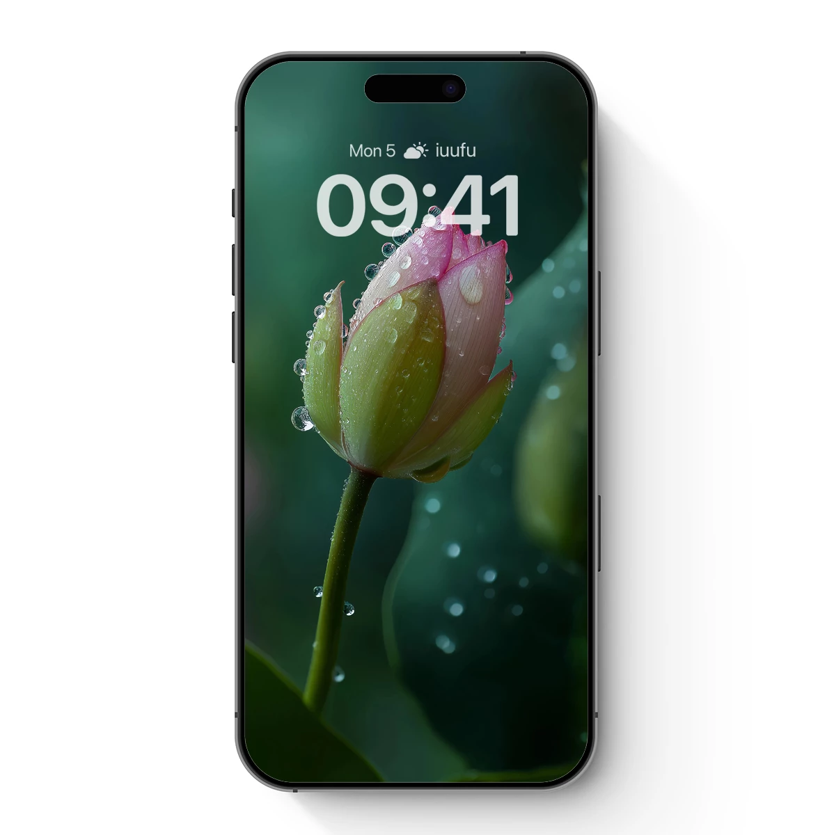 Dew-Kissed Lotus Bud in Morning Stillness