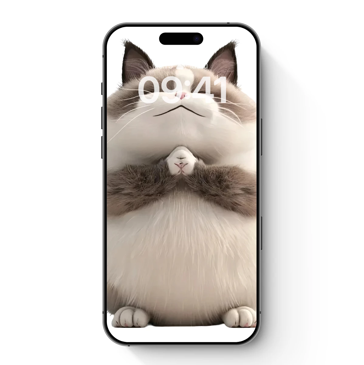 Chubby Cat Zen: Fluffy Meditative Bliss